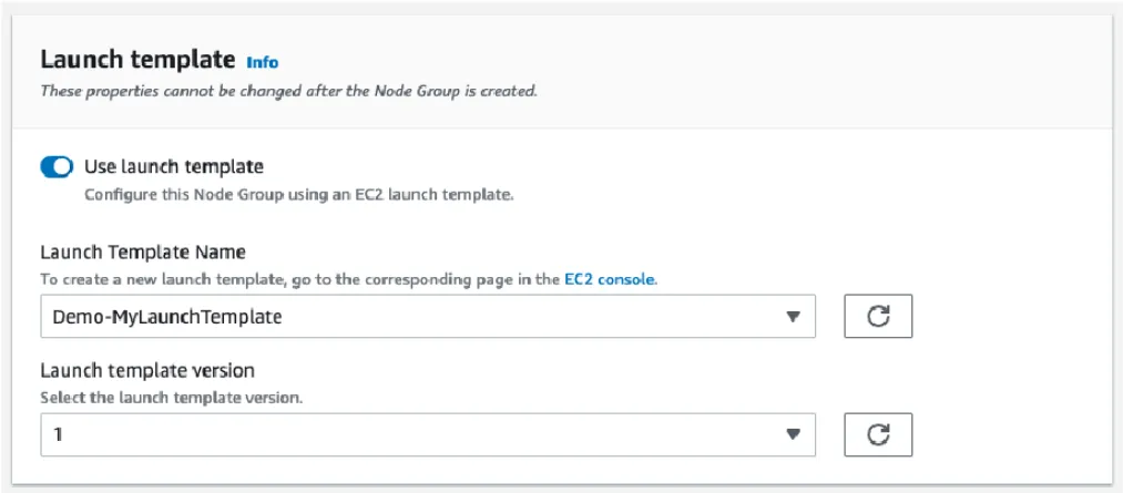 Step 9, Using custom Launch Template in EKS managed nodegroup